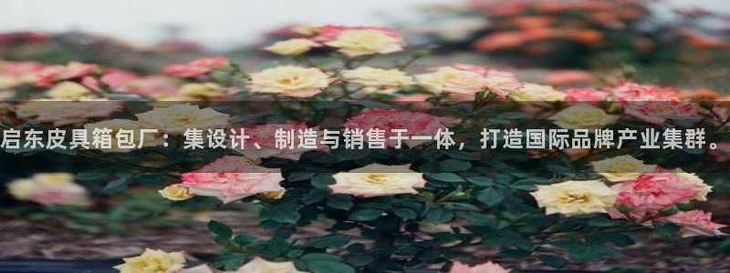 必一体育在线玩