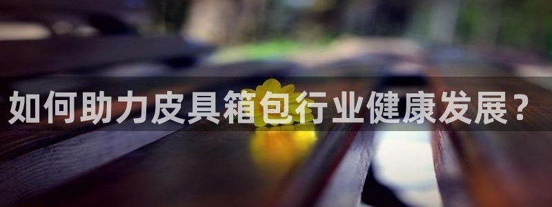 必一体育最新官网入口首页