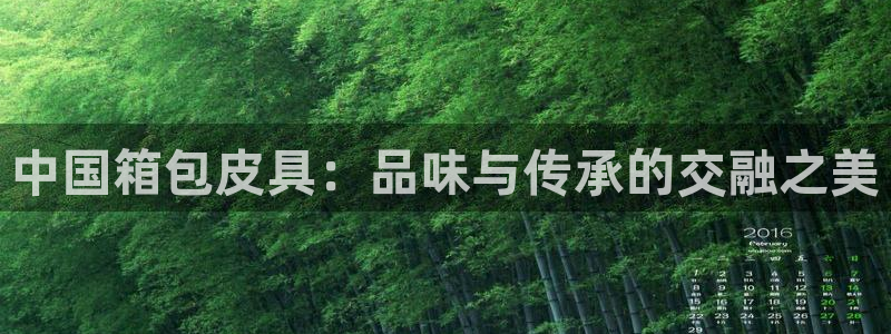 Bsport体育app必一