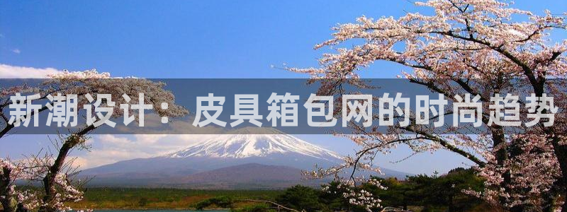 必一体育电子app