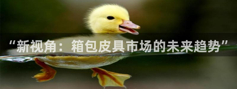 必一体育官方下载